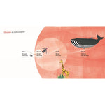 B00000005064104.jpg