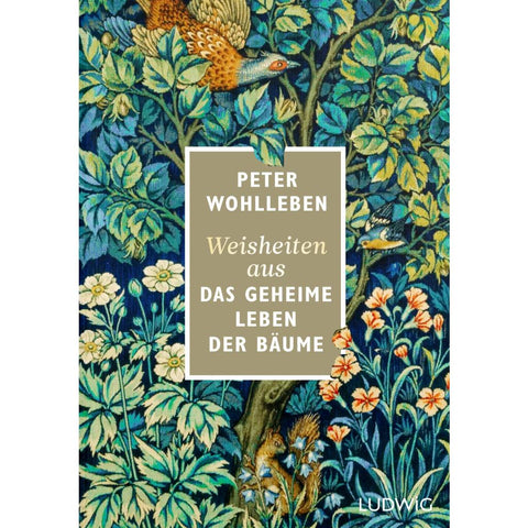 Weisheiten aus 'Das geheime Leben der Bäume'