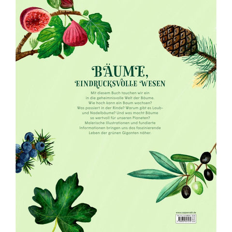 Die geheime Welt der Bäume