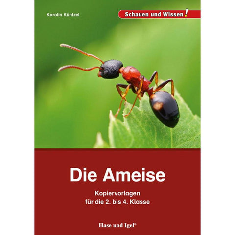 Die Ameise - Kopiervorlagen für die 2. bis 4. Klasse