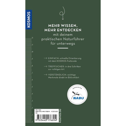 Basic Greifvögel und Eulen