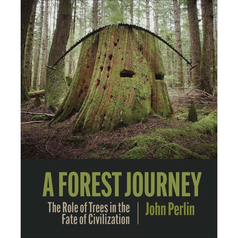 A Forest Journey