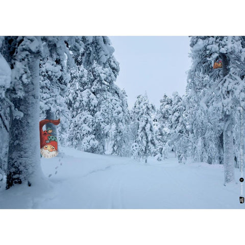 Winter im Wichtelwald. Kamishibai Bildkartenset