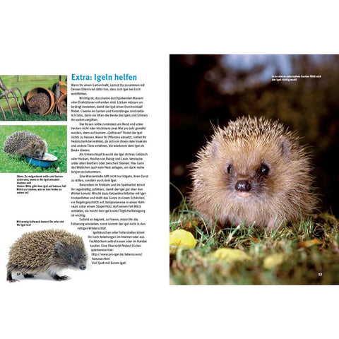 Entdecke die Igel