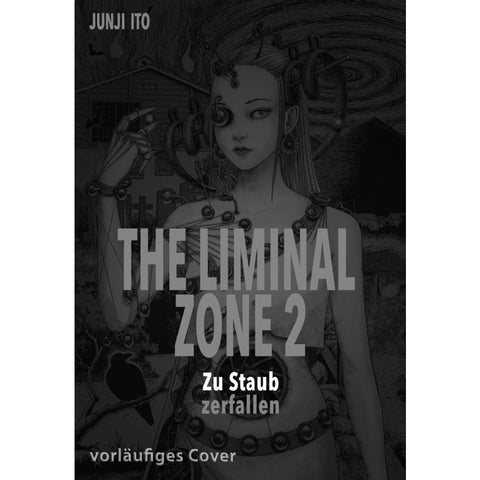 The Liminal Zone 2