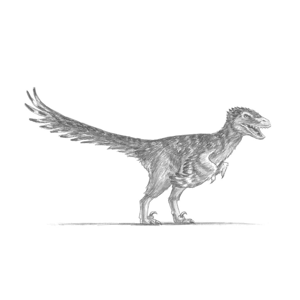 B00000005375266.jpg