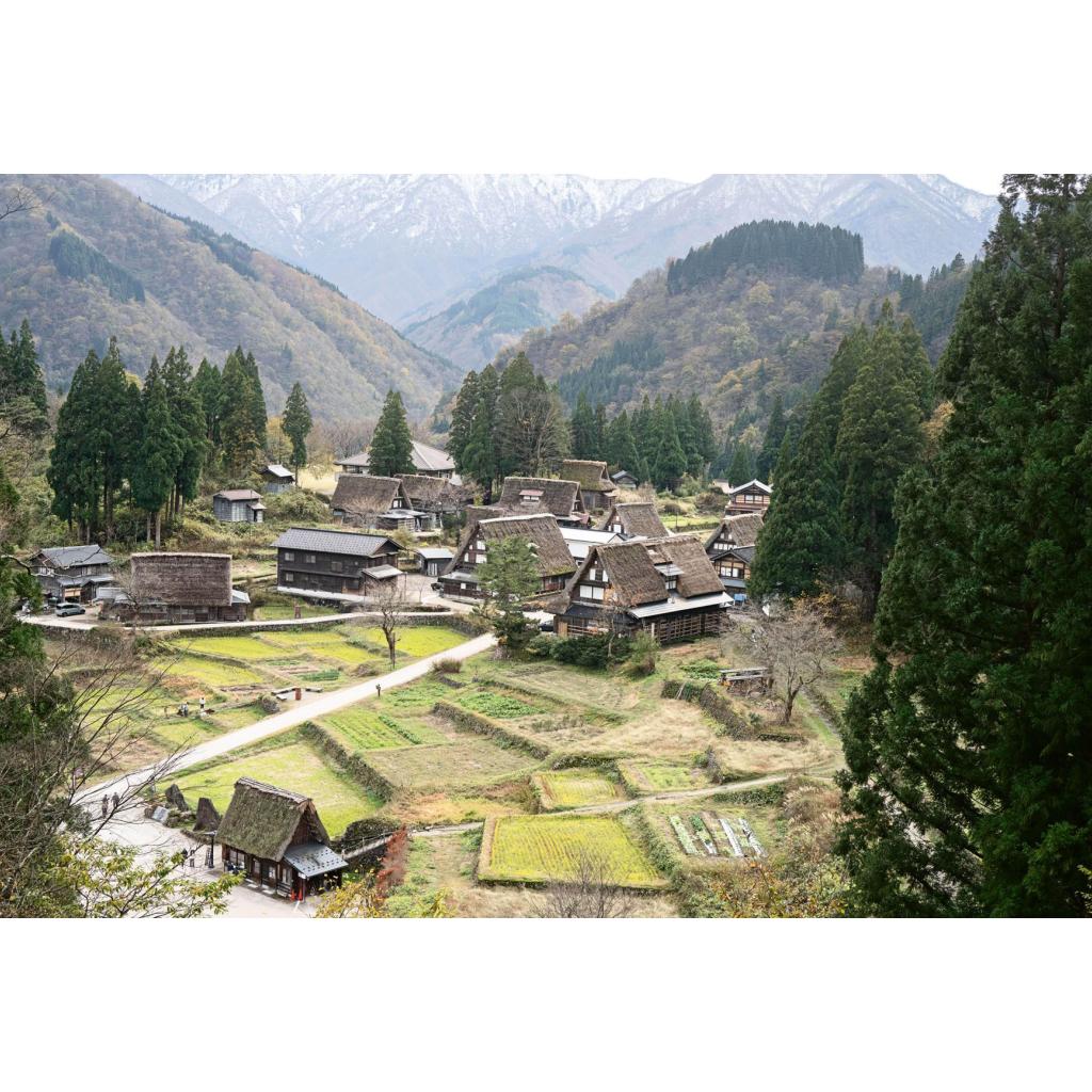 B00000005396841.jpg