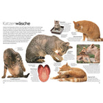 B00000005502010.jpg