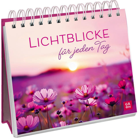 Lichtblicke für jeden Tag