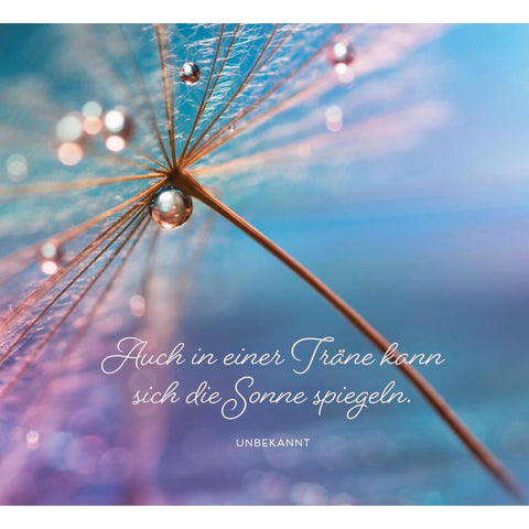 Lichtblicke für jeden Tag