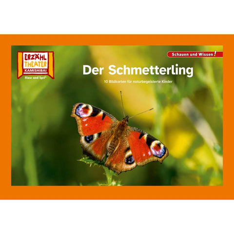 Der Schmetterling / Kamishibai Bildkarten