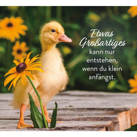 Kleine Pausen voller Glück