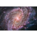 B00000007936742.jpg