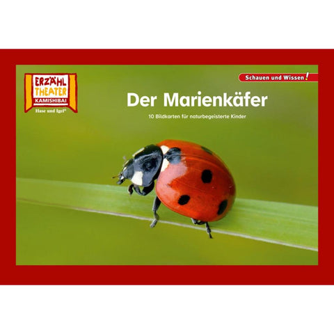 Der Marienkäfer / Kamishibai Bildkarten
