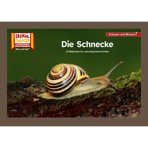 Die Schnecke / Kamishibai Bildkarten