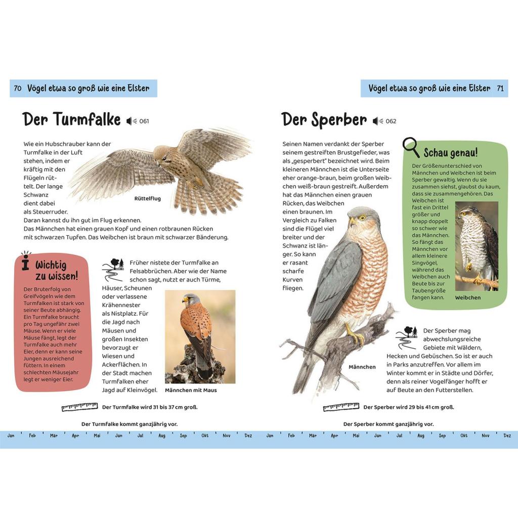 B00000007948843.jpg