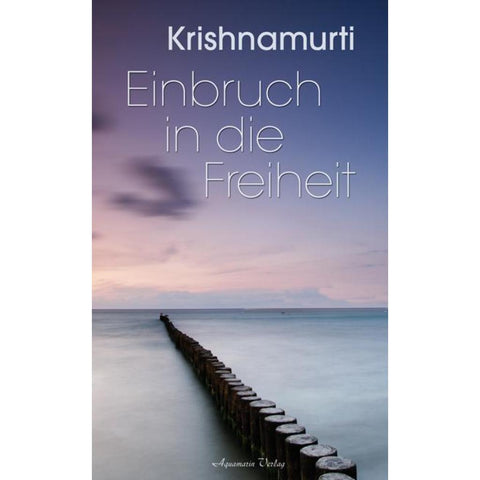 Einbruch in die Freiheit