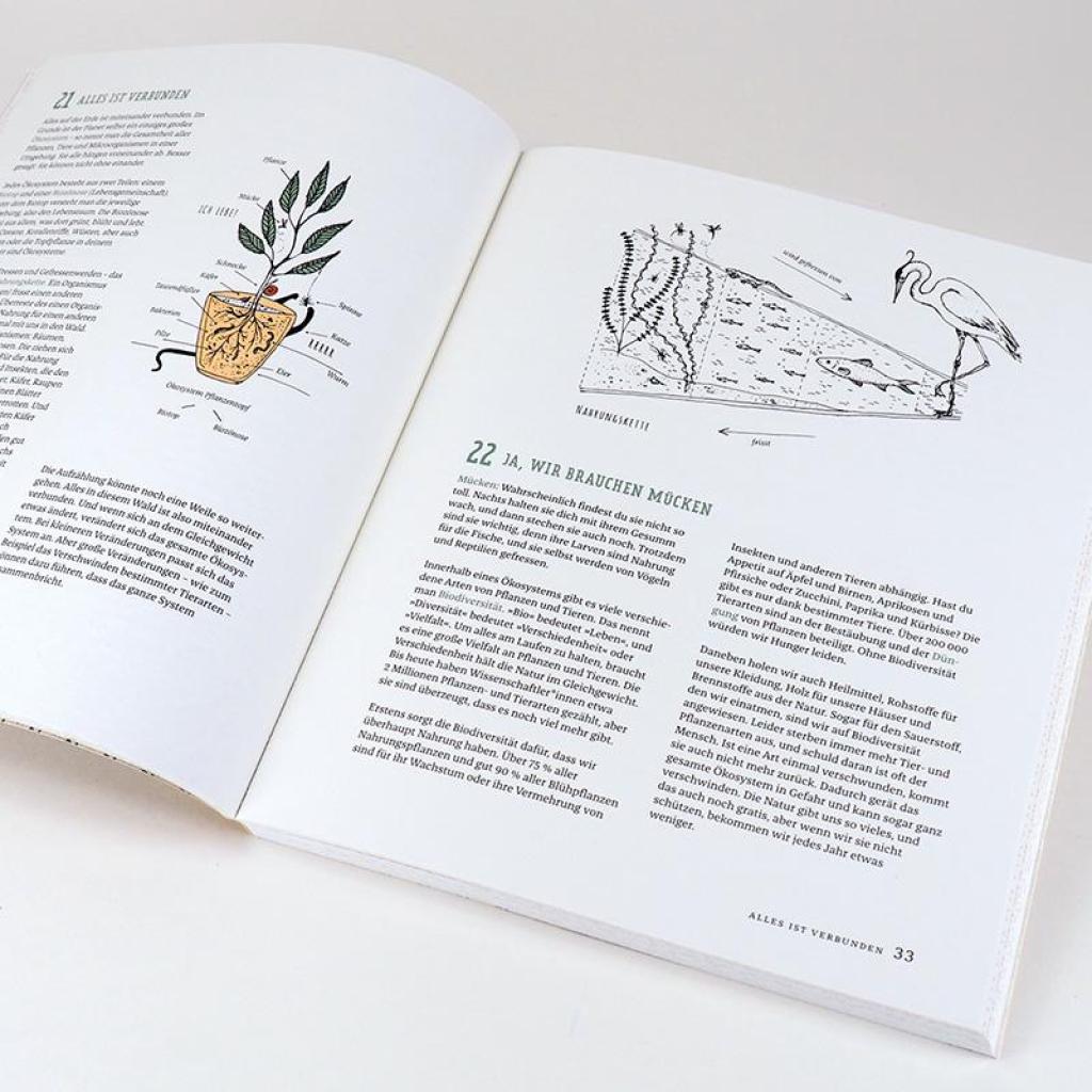B00000008006096.jpg