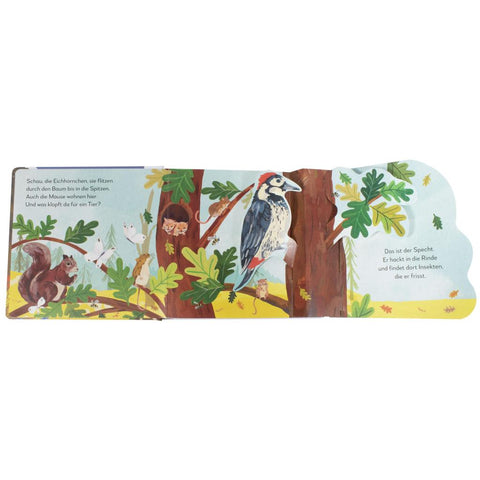 Mein Pop-up-Buch zum Staunen. Wer lebt im Wald?