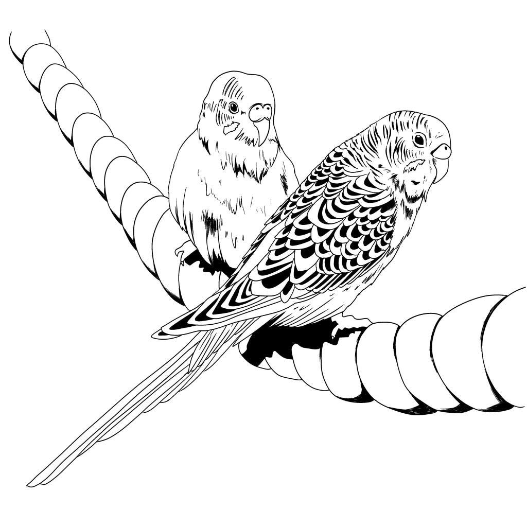 B00000008037787.jpg