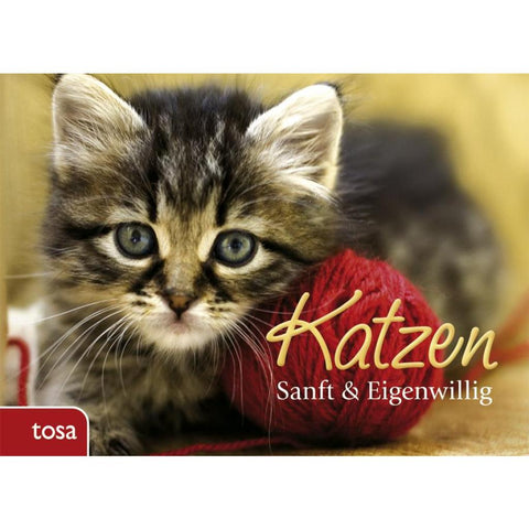 Katzen