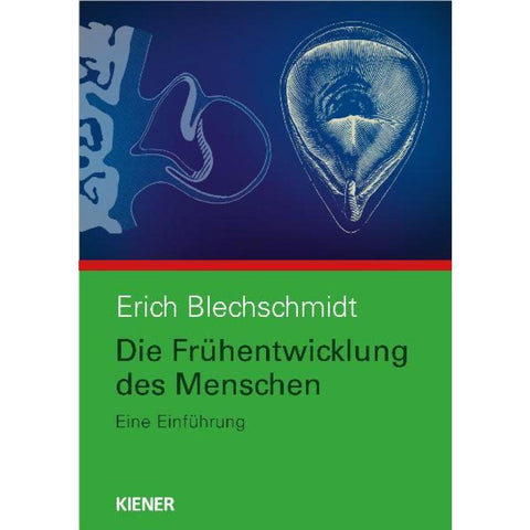 Die Frühentwicklung des Menschen
