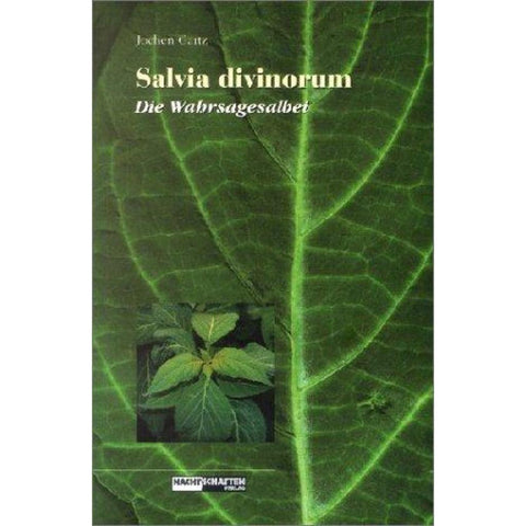 Salvia Divinorum - Der Wahrsagesalbei