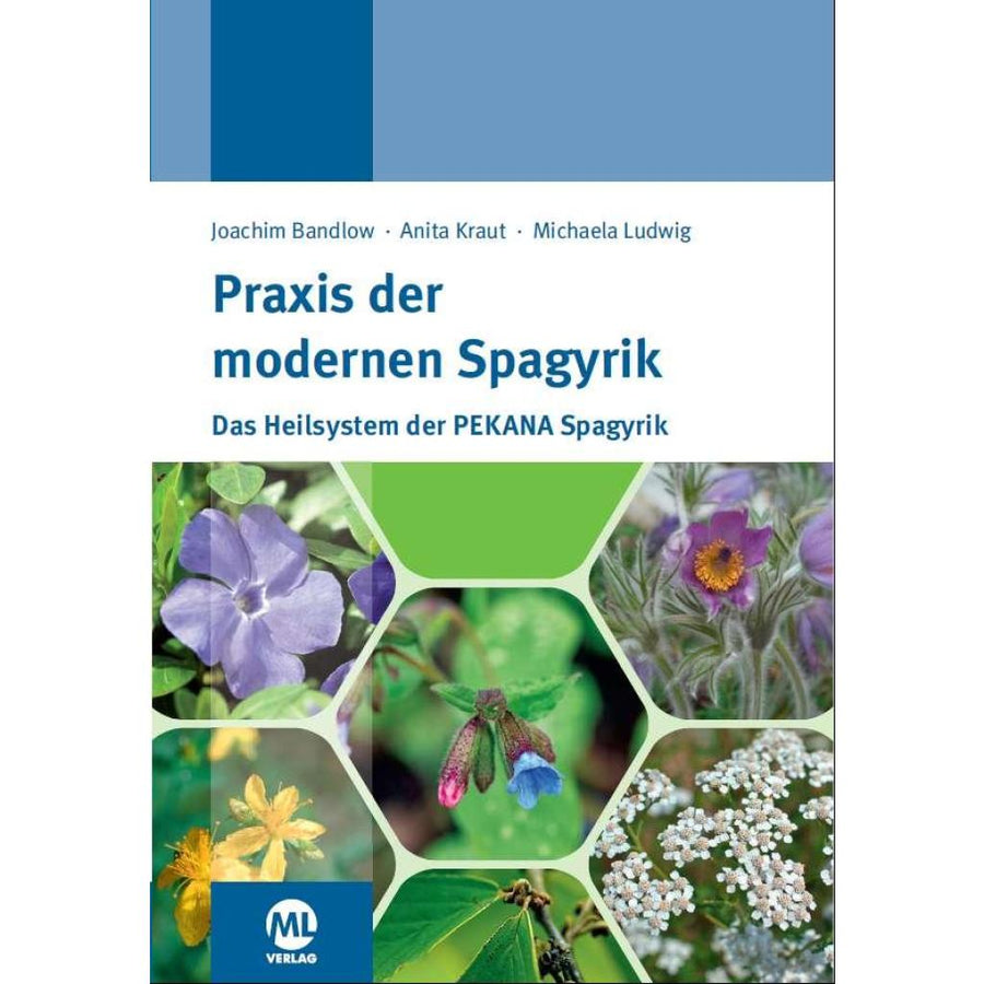 B00000008089905.jpg
