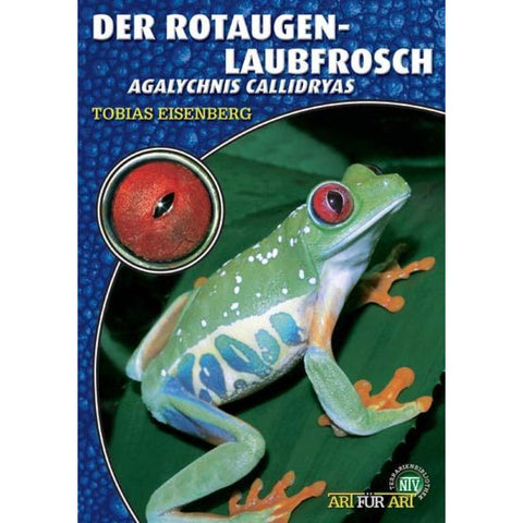 Der Rotaugenlaubfrosch