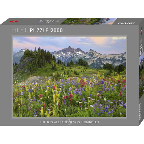Tatoosh Mountains