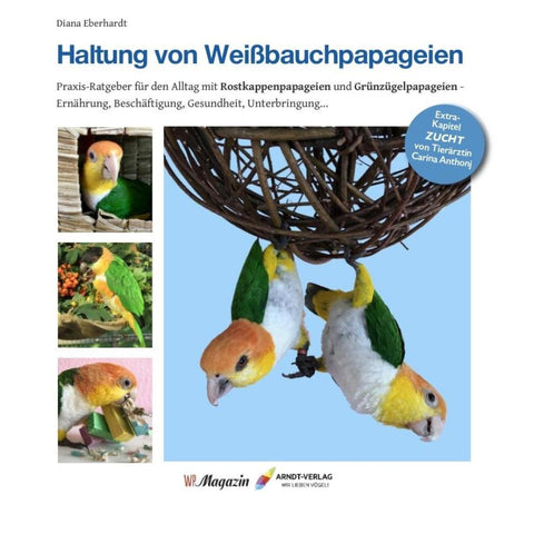 Haltung von Weißbauchpapageien