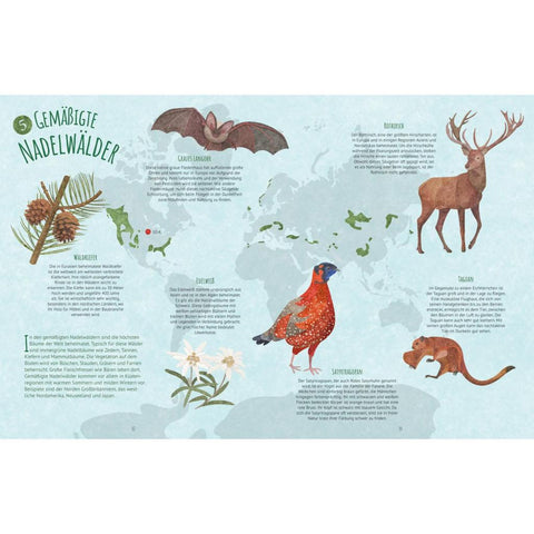 Biome der Welt