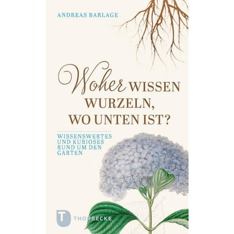 Woher wissen Wurzeln, wo unten ist?