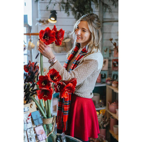 Weihnachtliche Blumenpoesie