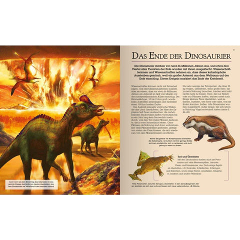 Das große Dinosaurierbuch