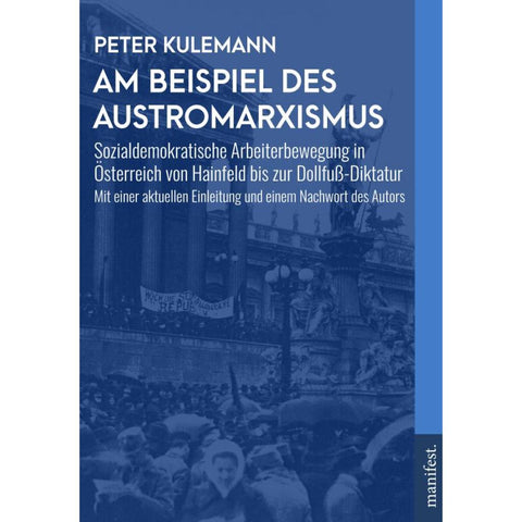 Am Beispiel des Austromarxismus