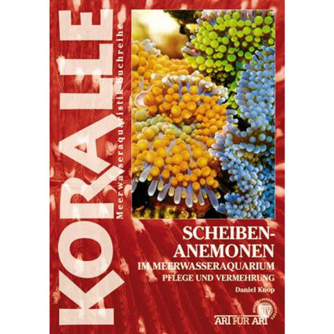 Scheibenanemonen