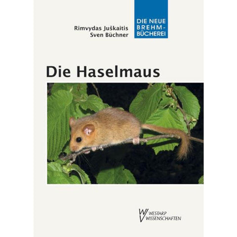Die Haselmaus