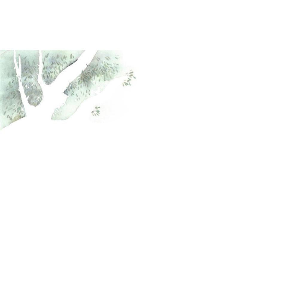 B00000008296567.jpg