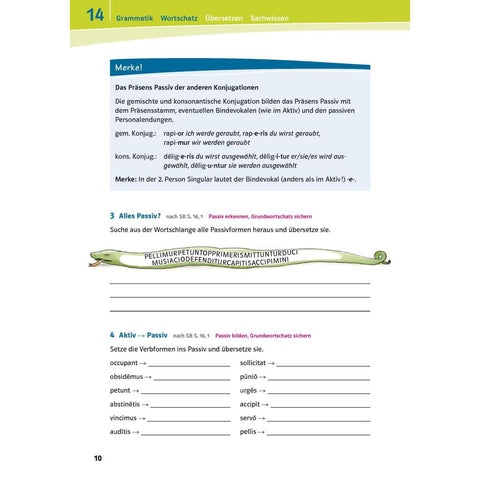Pontes 02 Das Trainingsbuch zum Schulbuch