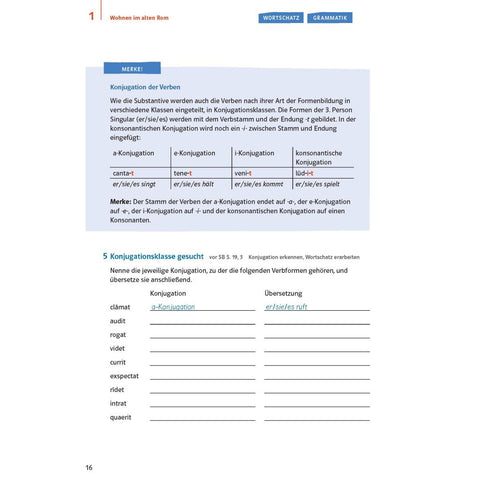 Pontes Gesamtband 1 (ab 2020) Das Trainingsbuch zum Schulbuch 1. Lernjahr.  Lektion 1-11