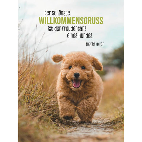 Hunde sind die besten Freunde