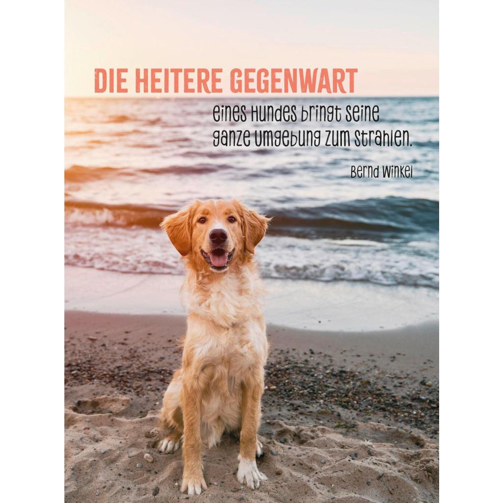 B00000009206191.jpg