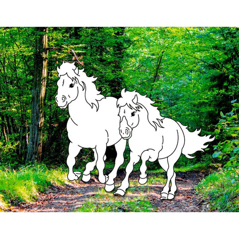 Traumpferde-Malbuch: Wilde Natur
