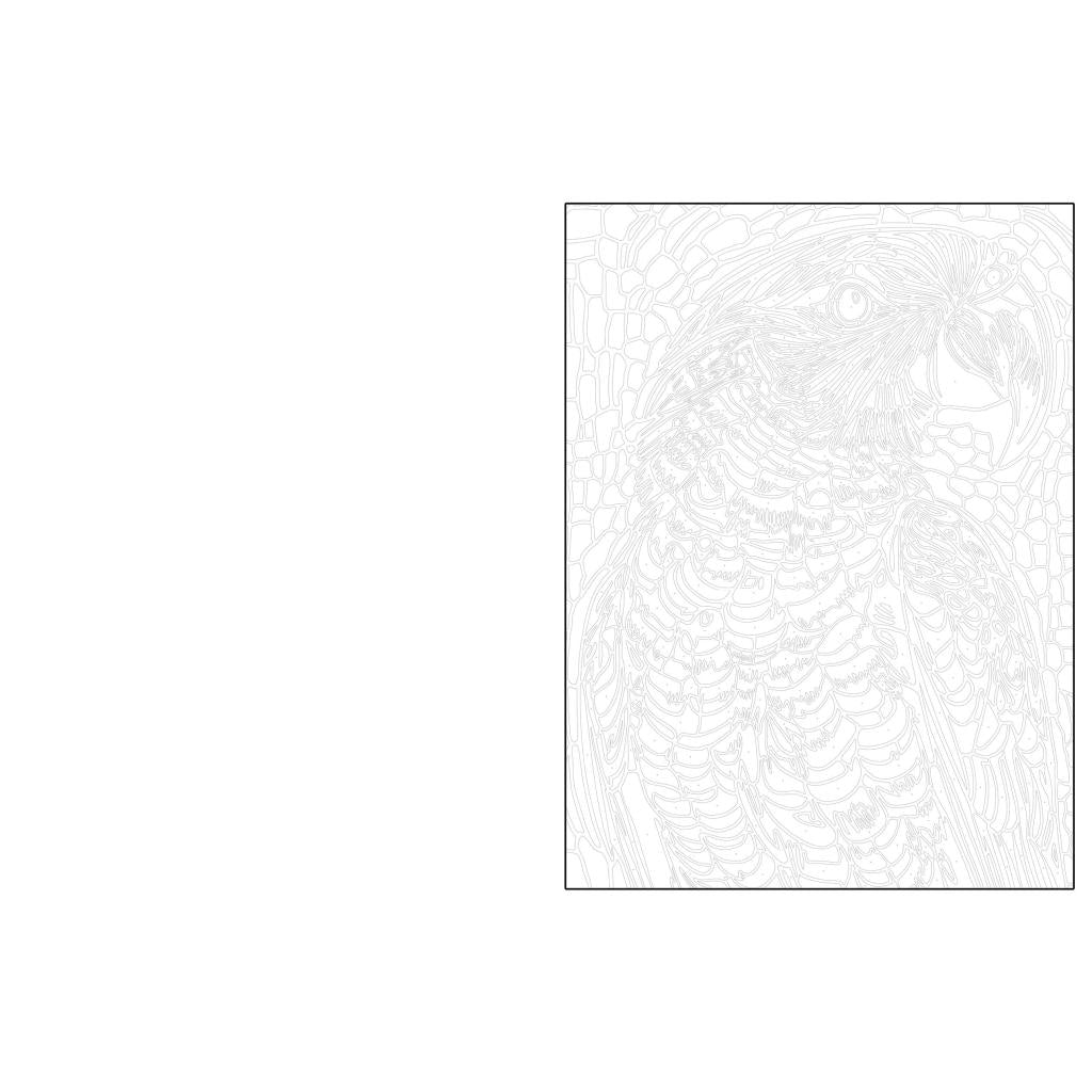 B00000009351337.jpg