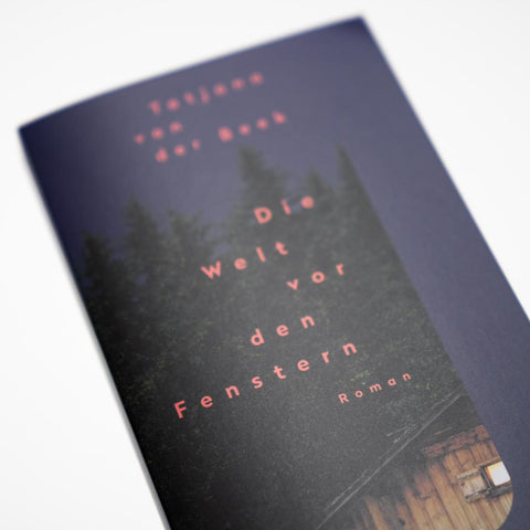 Die Welt vor den Fenstern