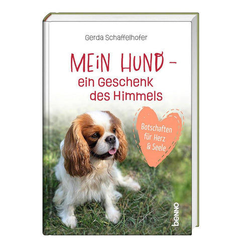 Mein Hund - ein Geschenk des Himmels