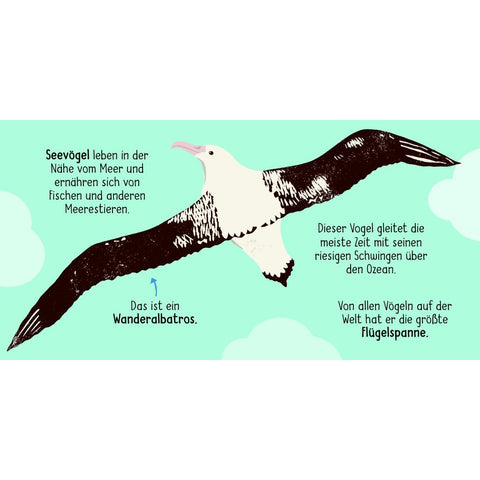 50 Wörter über die Natur - Vögel