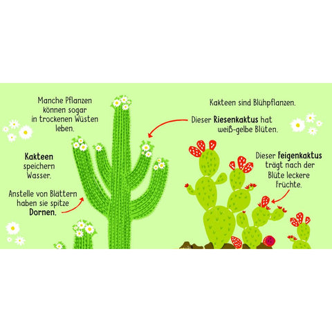 50 Wörter über die  Natur - Pflanzen