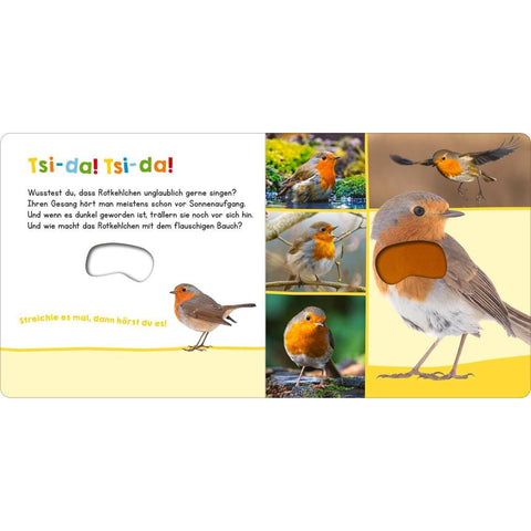 Hör mal rein, wer kann das sein? - Vögel